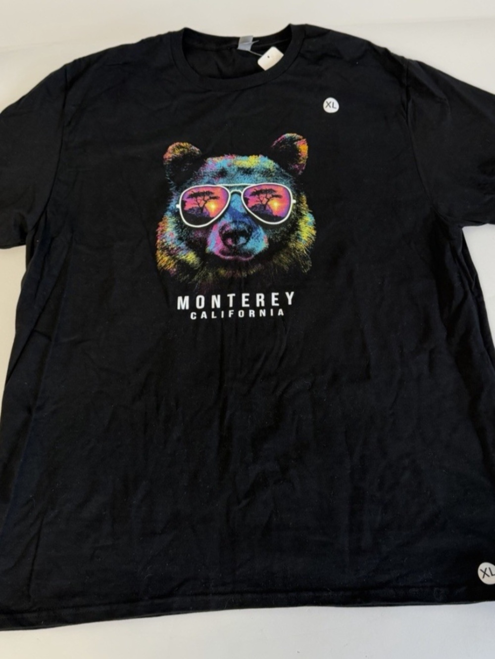 Santa Monica Tropical Grunge Bear Graphic T-Shirt Black Men’s XL